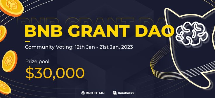 Voting Guide: BNB Grant DAO Round 2